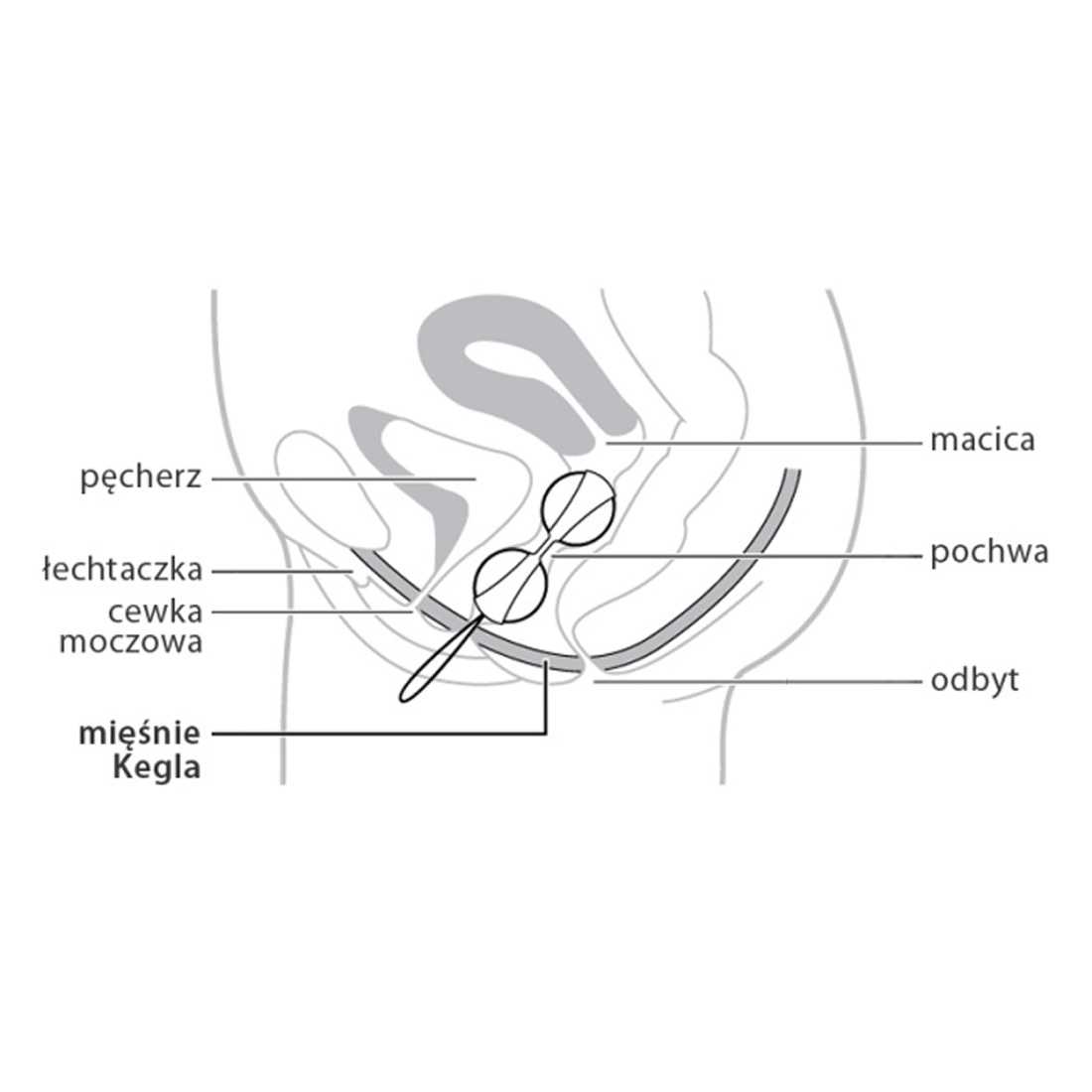 LELO Beads Mini kulki gejszy