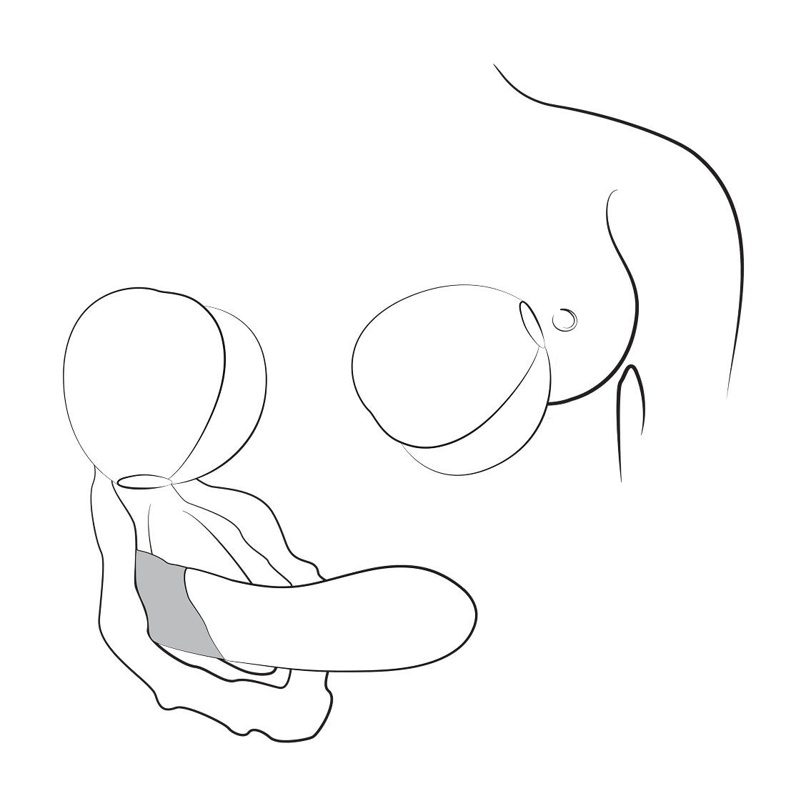 Romp by Womanizer Pink Peach bezdotykowy masażer łechtaczki