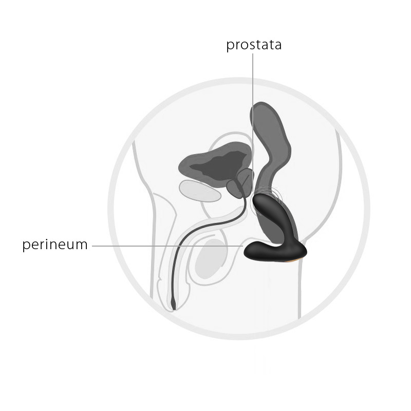 Svakom Vick Neo wibrujący masażer prostaty sterowany telefonem