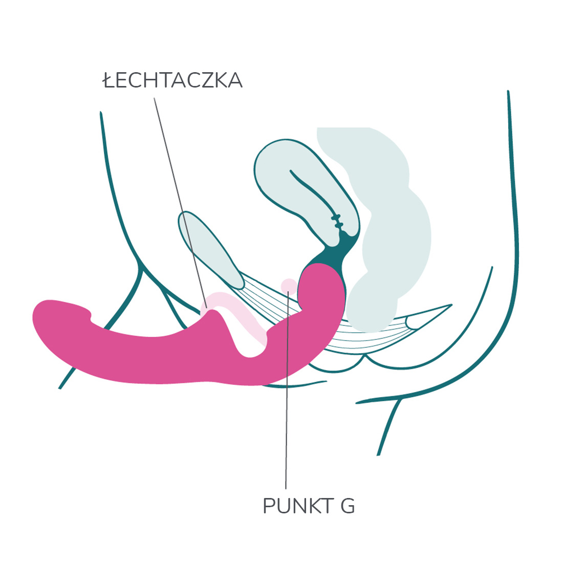 Fun Factory Share Lite podwójne dildo dla par