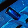 LELO F1S V2 soniczny masażer penisa sterowany telefonem szaro-niebieski